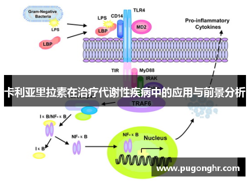 卡利亚里拉素在治疗代谢性疾病中的应用与前景分析